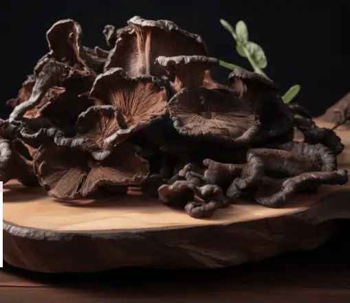 Black Fungus Extract Menovelle SEO