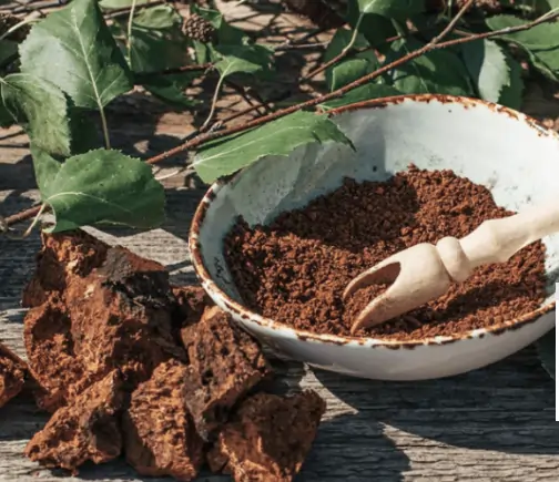Chaga Mushroom Menovelle SEO