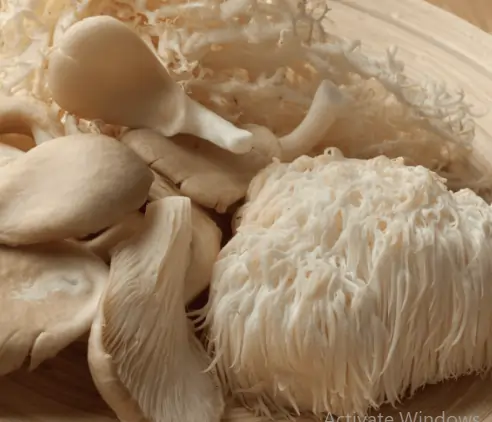 Lions Mane for Mental Clarity Menopause SEO