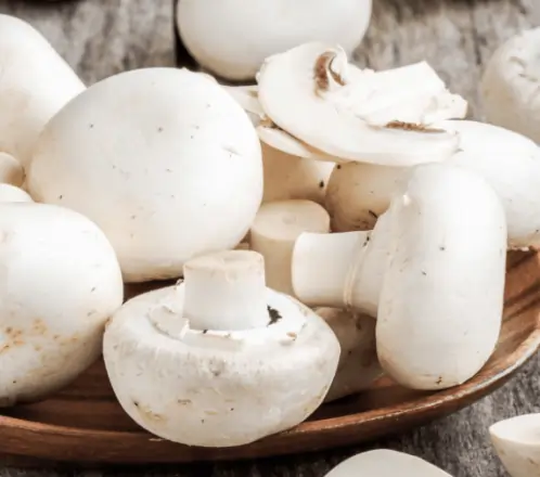White Button Mushroom Extract SEO